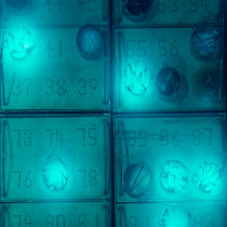 Gamma Irradiation Services
